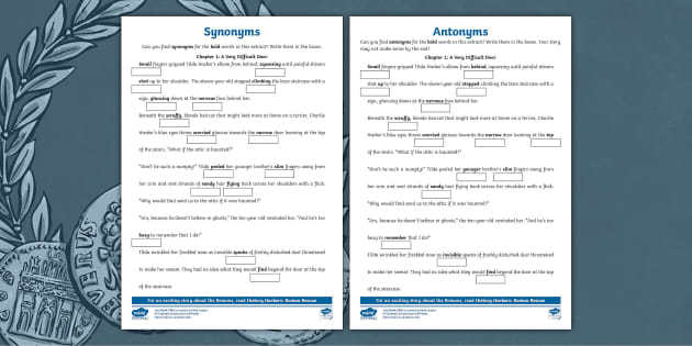 Synonyms Antonyms Homonyms Spreadsheet Activity